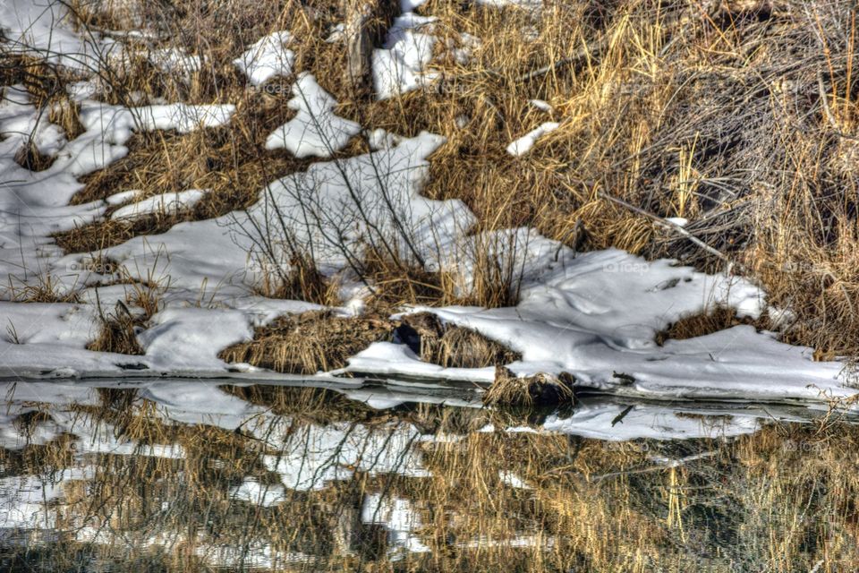 Winter reflection. a warm spring keeps this small mountain pond from freezing in the cold mountain winter