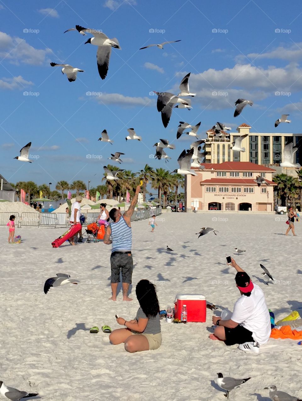 Family is feeding birds on the beach
