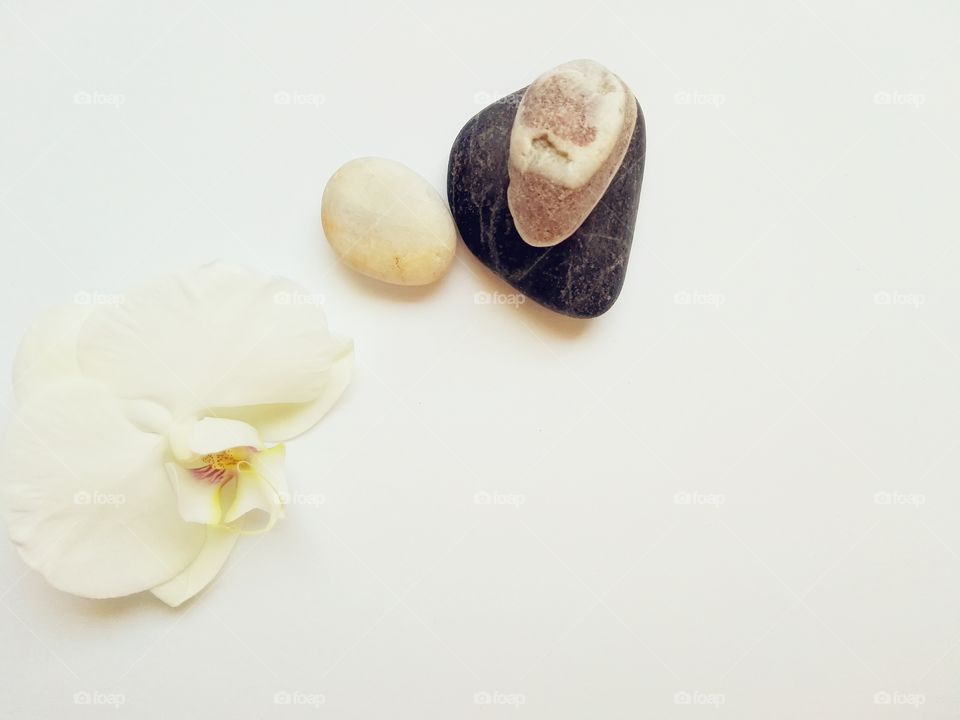 Flower and stone on white background