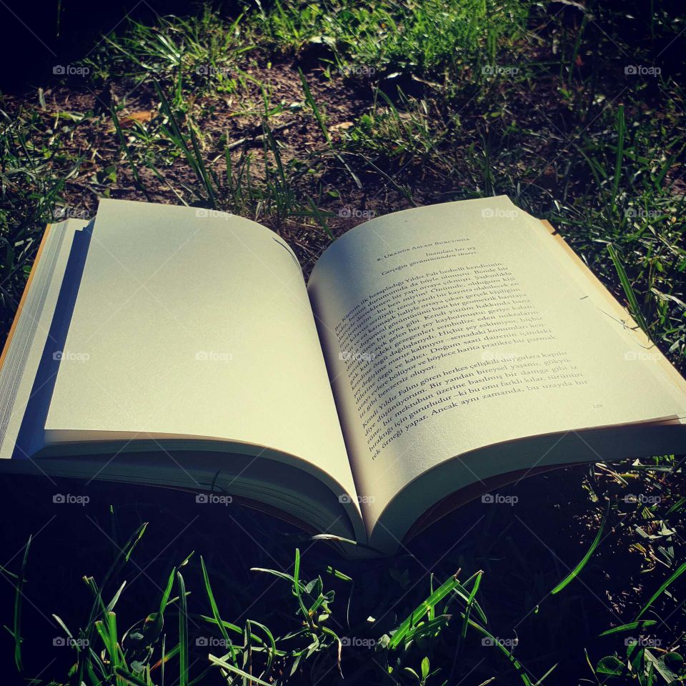 book, read, camping, picnic, grass