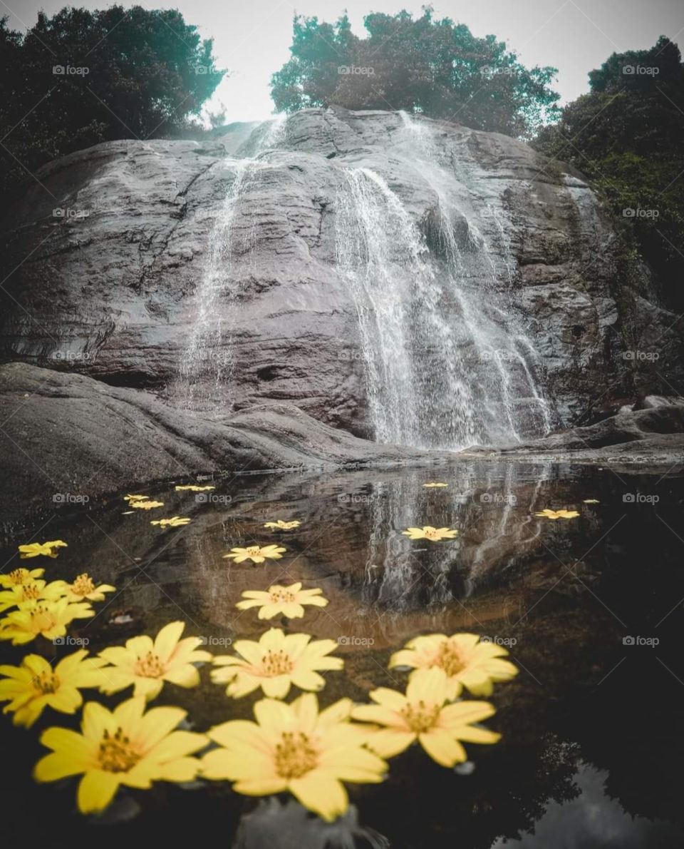 Waterfall with flowers