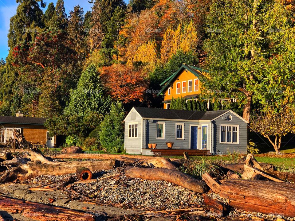 Foap Mission Color Love, Fall Season Cabins On The Puget Sound 