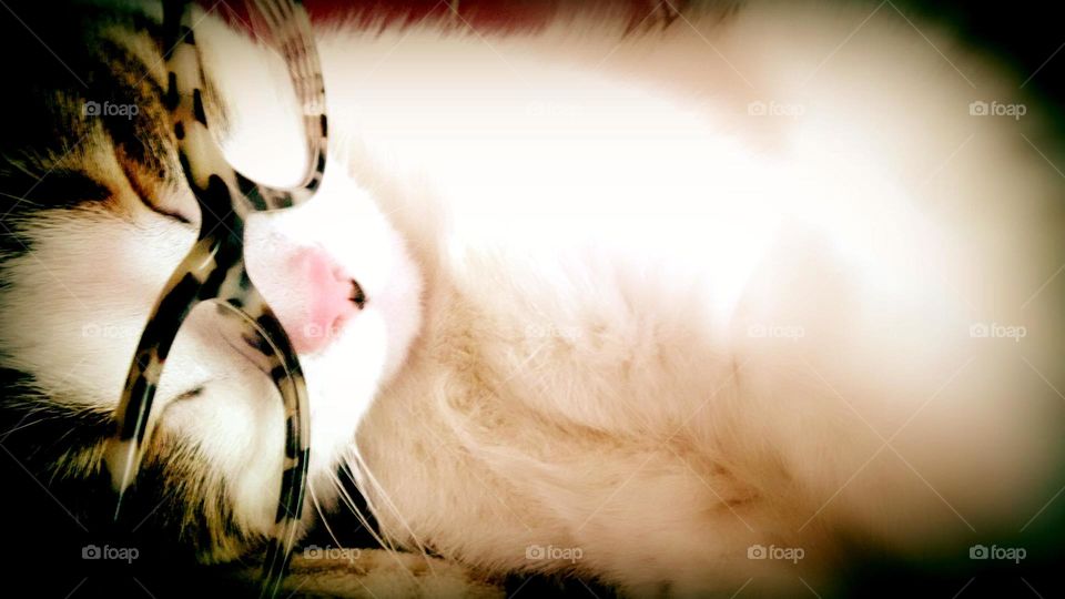 À quick nap before doing the newspaper crossword puzzle.