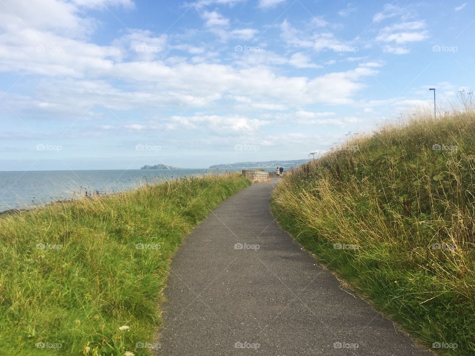 Landscape, Road, Guidance, Grass, Nature