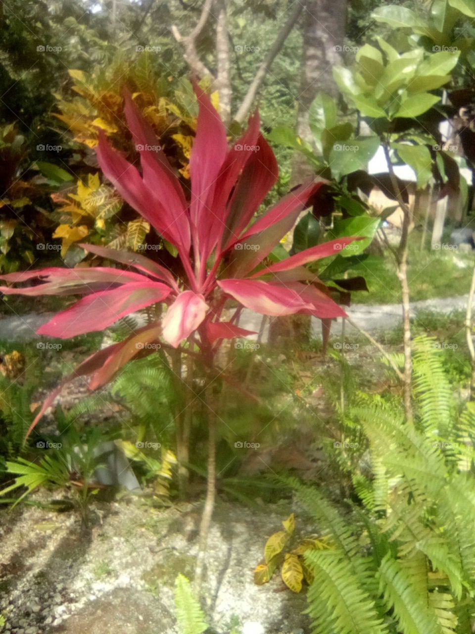 this is a beautiful day when we see all the great work of our Creator an we should be joyful an embrace them