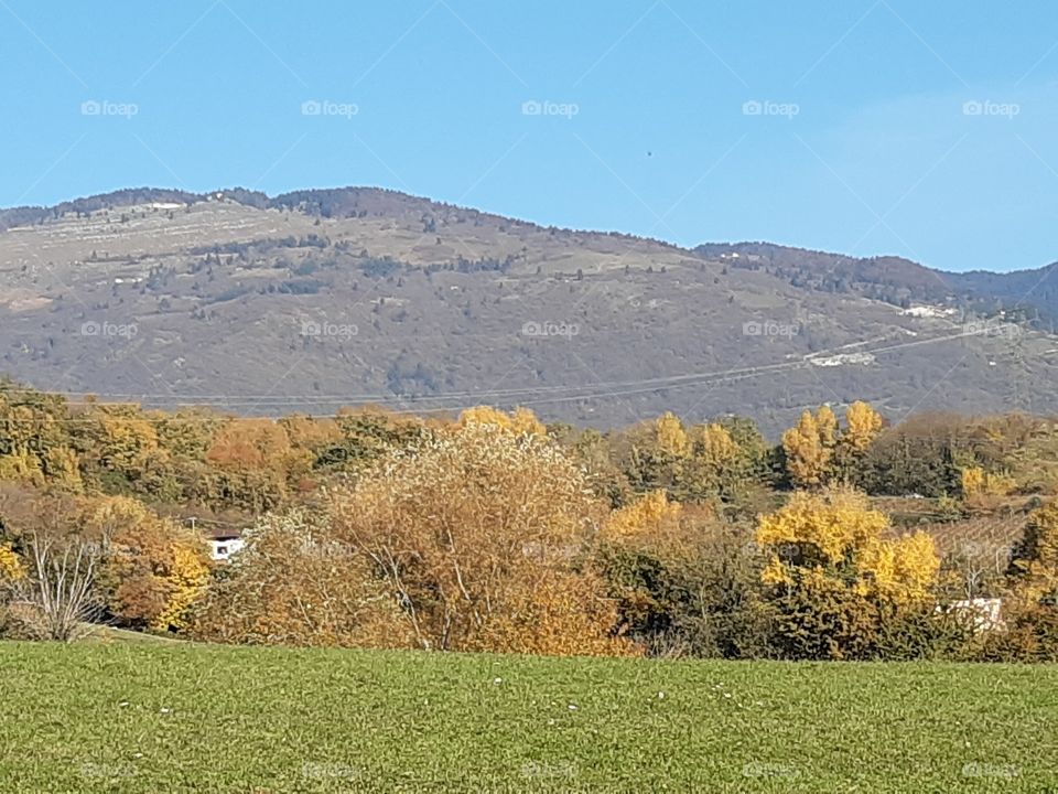 green fields, yellow trees and hills in autumn