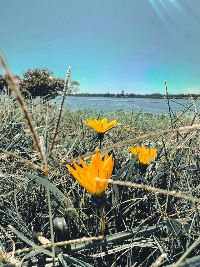 There is so much beauty around us.