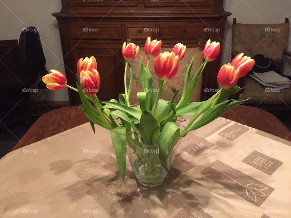 Tulips