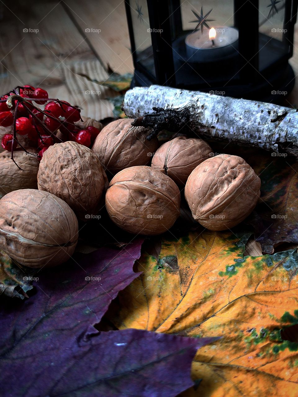 Composition. Walnuts lie on colorful autumn leaves. Birch branch. A bunch of red rowan berries. In the background is a black lantern with a lit candle