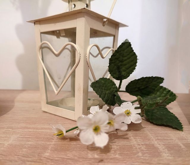 Fanoos with flowers