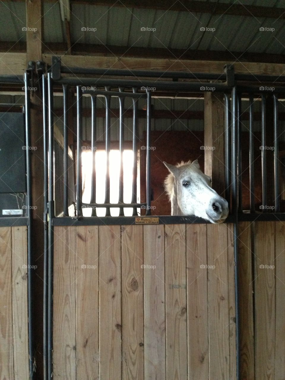 "Hey, I can barely reach, I just wanted to say hey"