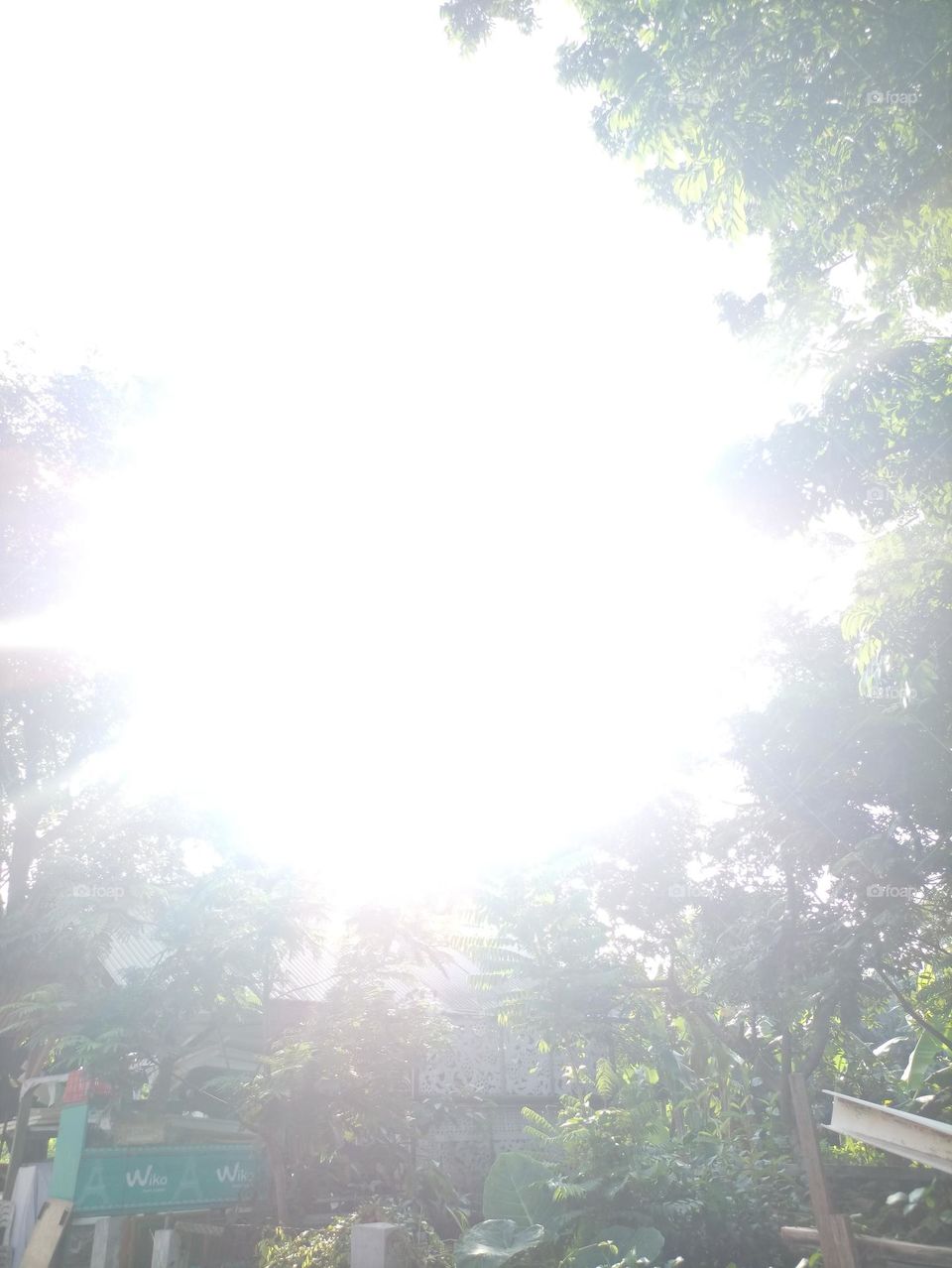 Bright sky in the day