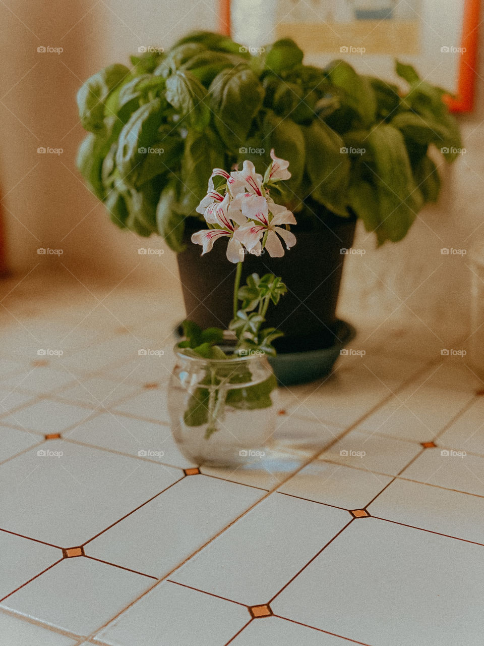 Little flower in the kitchen 