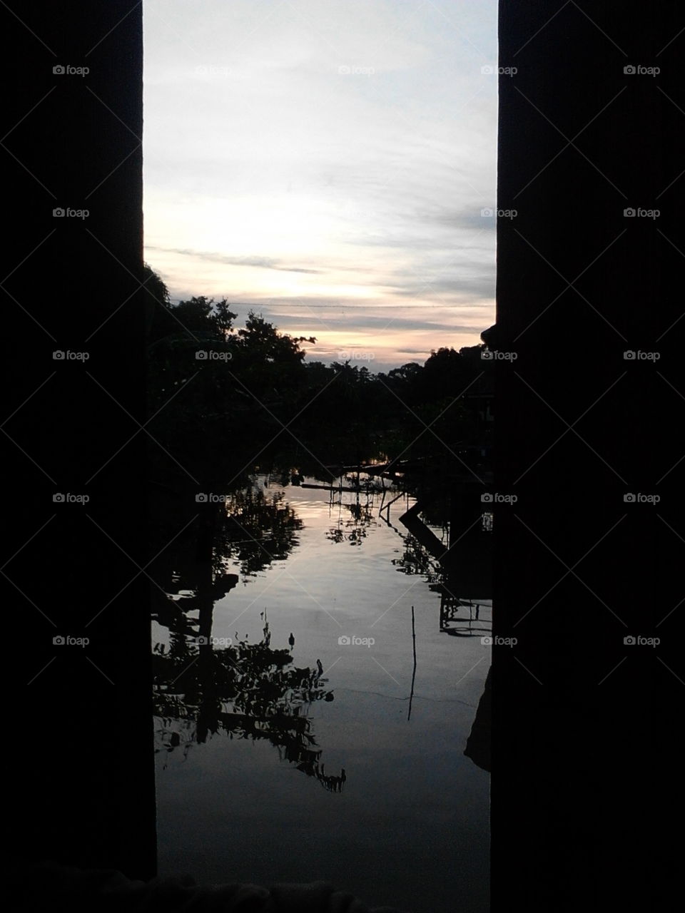 beauty between windows