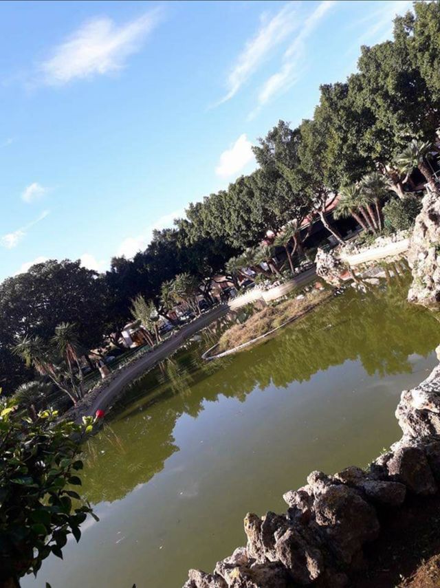 garden