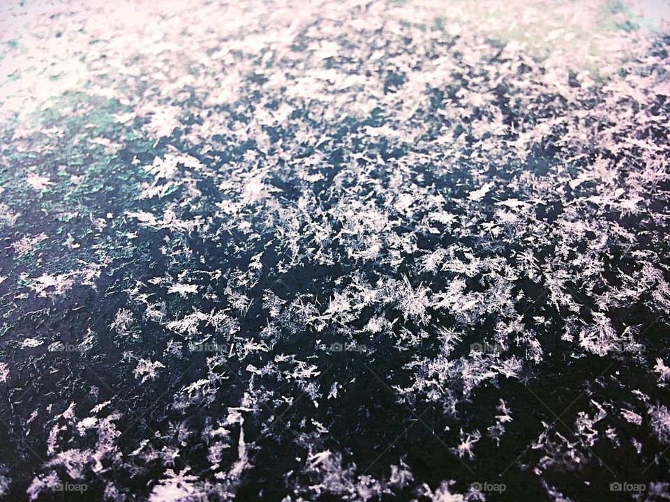 Snow flakes 