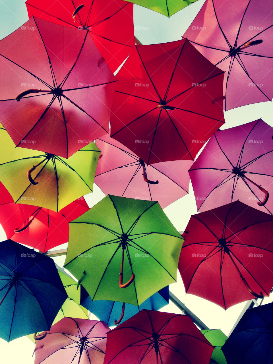 Close-up of colorful umbrella