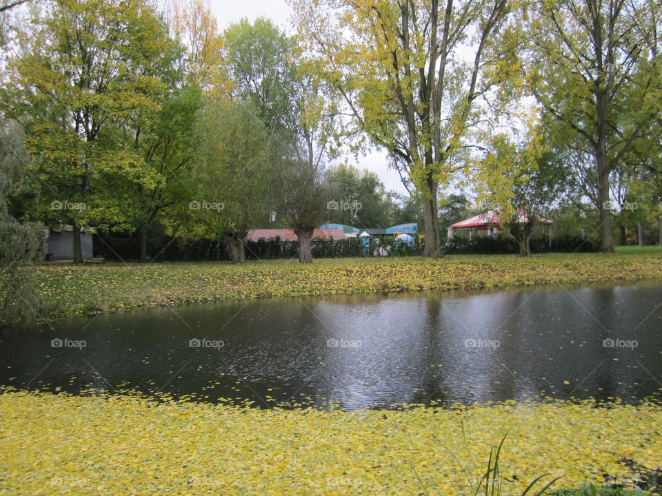 lac du héron. taken in oct 2009