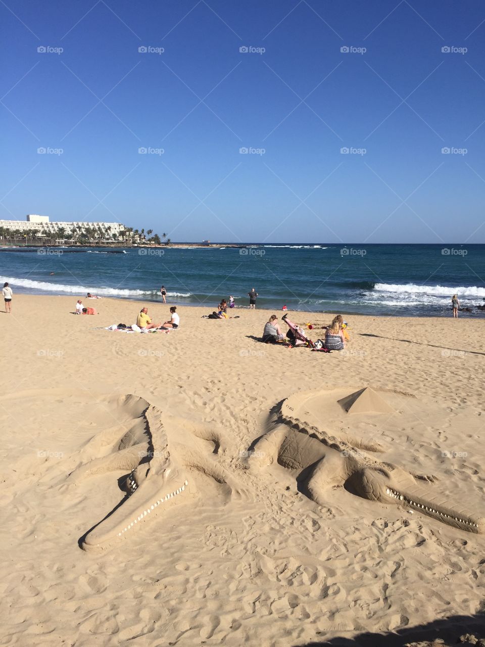 Cocodrilos de arena en la playa de cucharas Costa Tegise 
