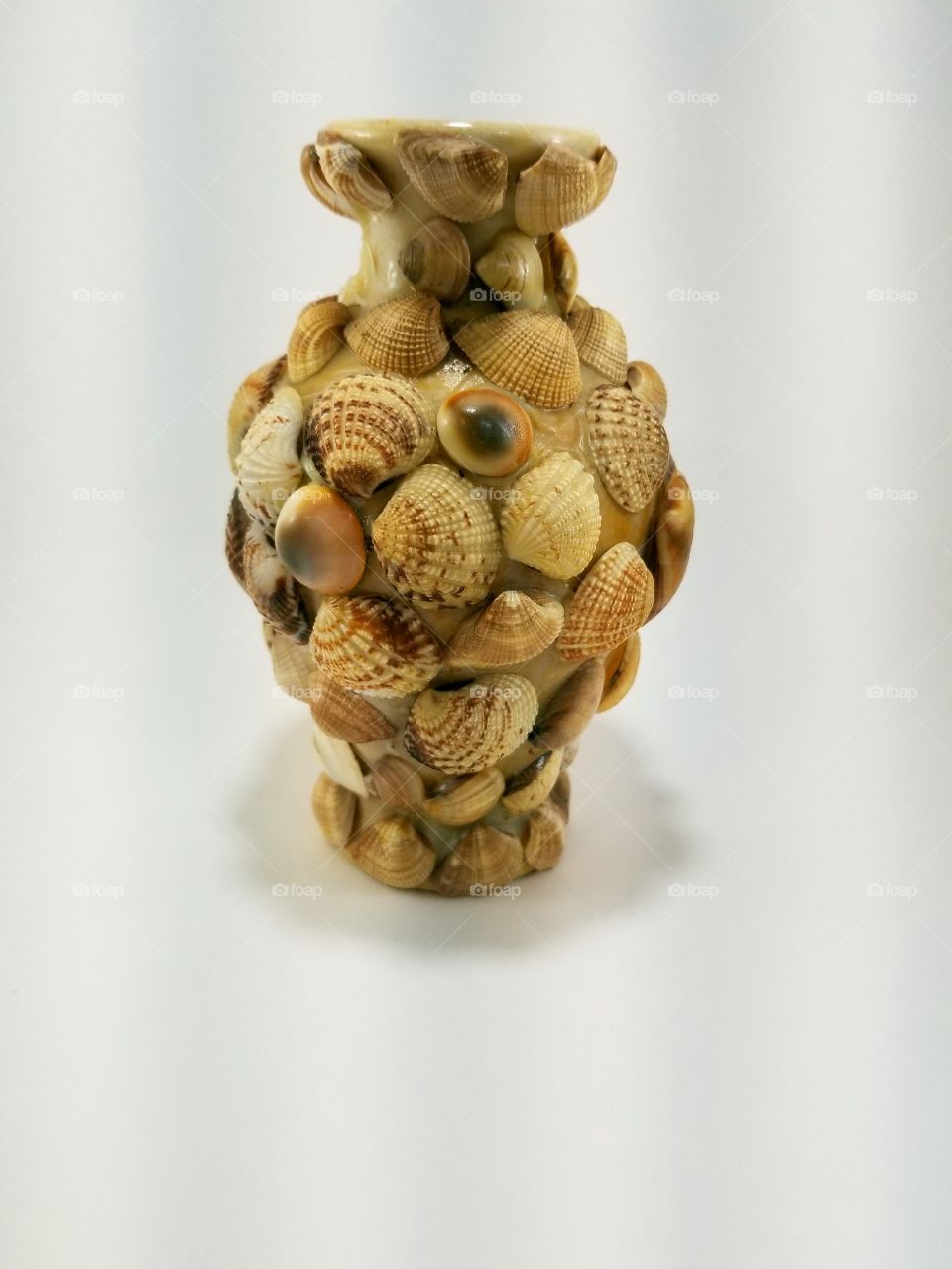 Vintage sea shell vase