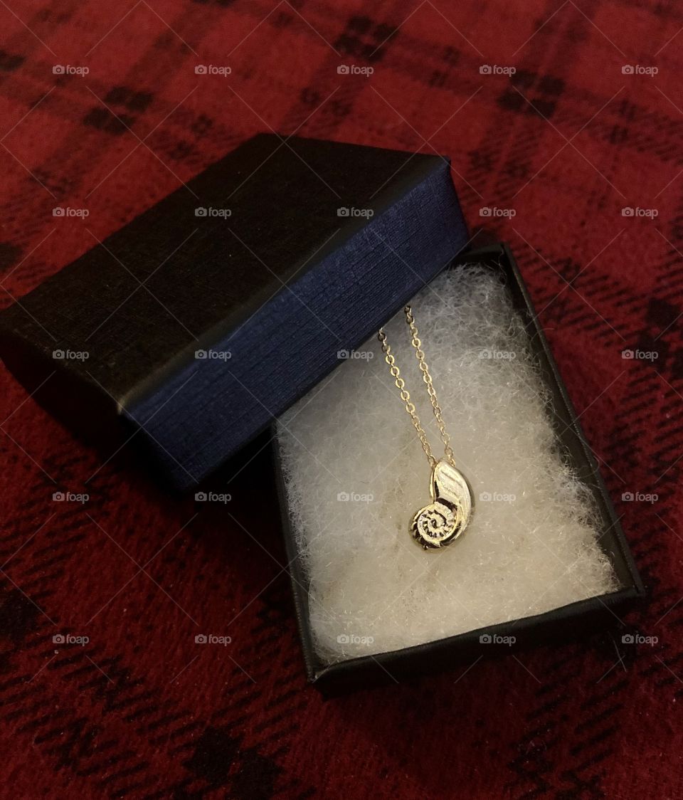 Gold spiral shell necklace gift wrapped. 