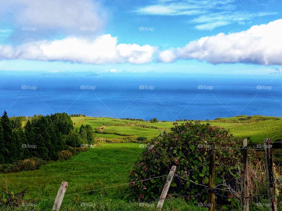 Green field, Açores, Portugal