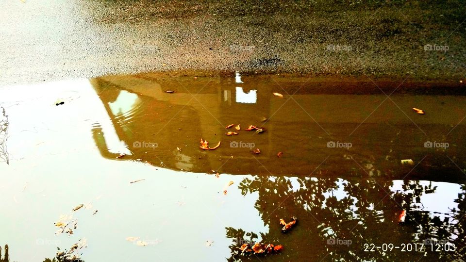 Autumn rain reflections