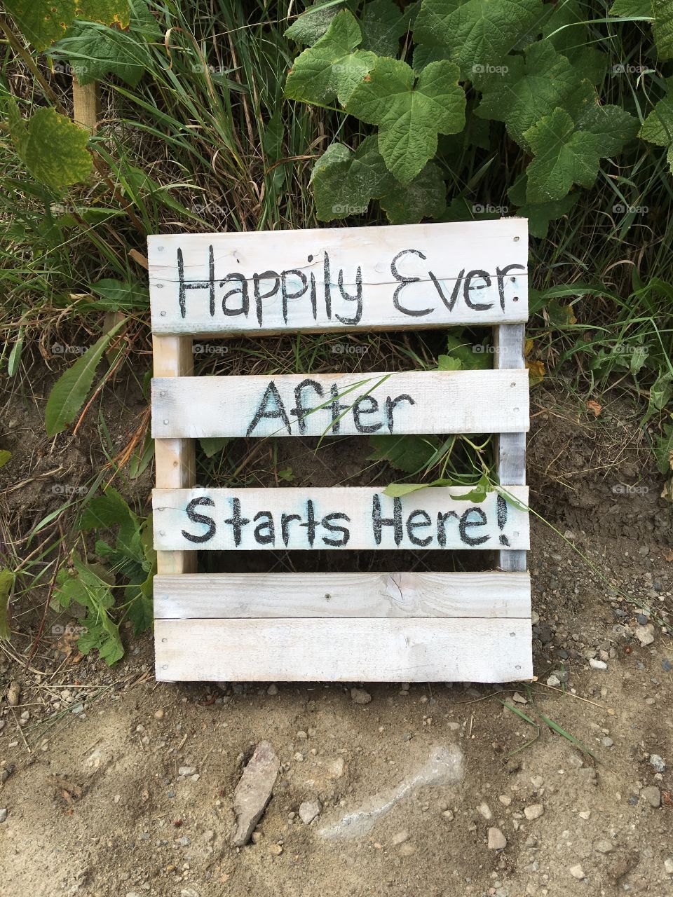 Happily ever after starts here