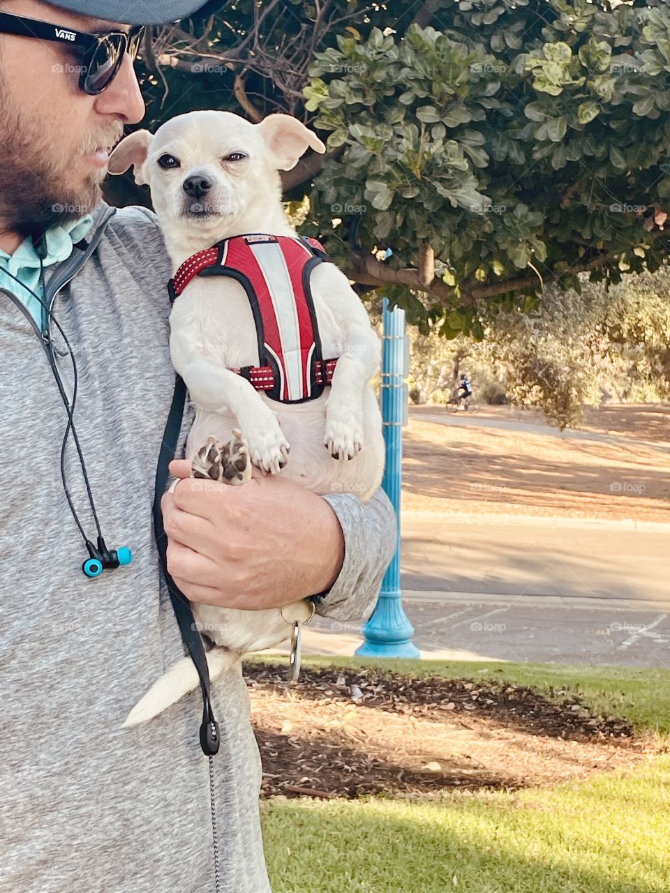 Pup at Balboa park enjoying the sun 