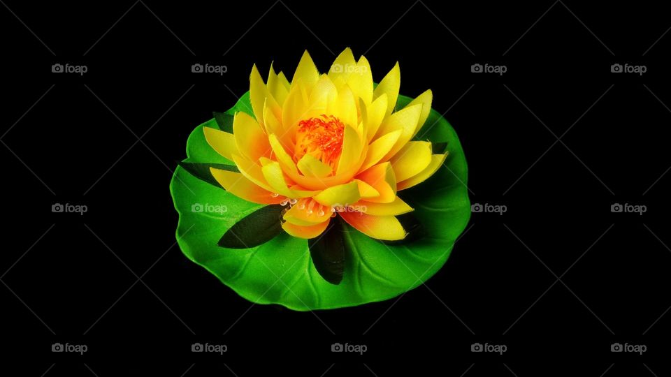 The colorful lotus flower made of colored fabric floating on the water