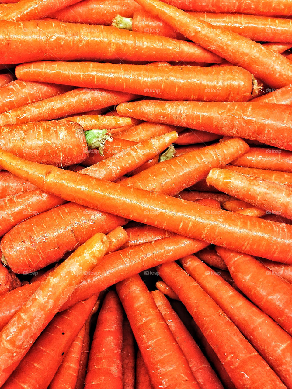 Fresh Carrots
