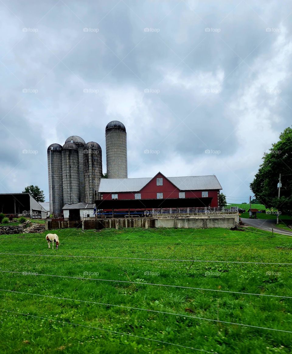 Amish Farm