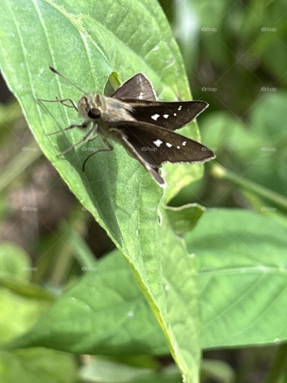 Happiness along the way, this is my own garden