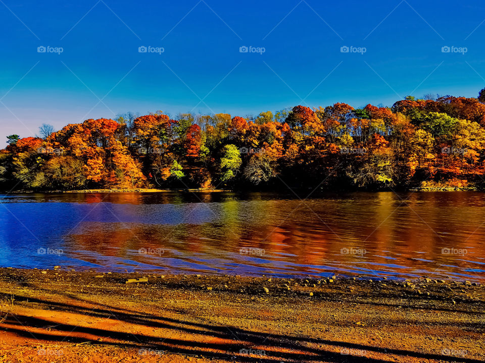 Autumn Across The River