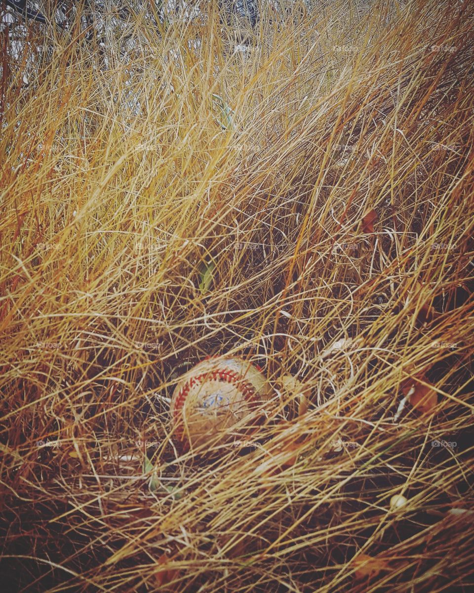 vintage Baseball