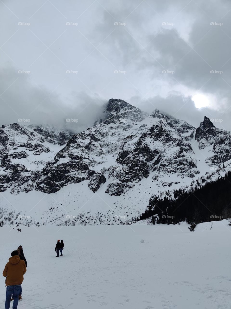 cold day in the mountain of poland