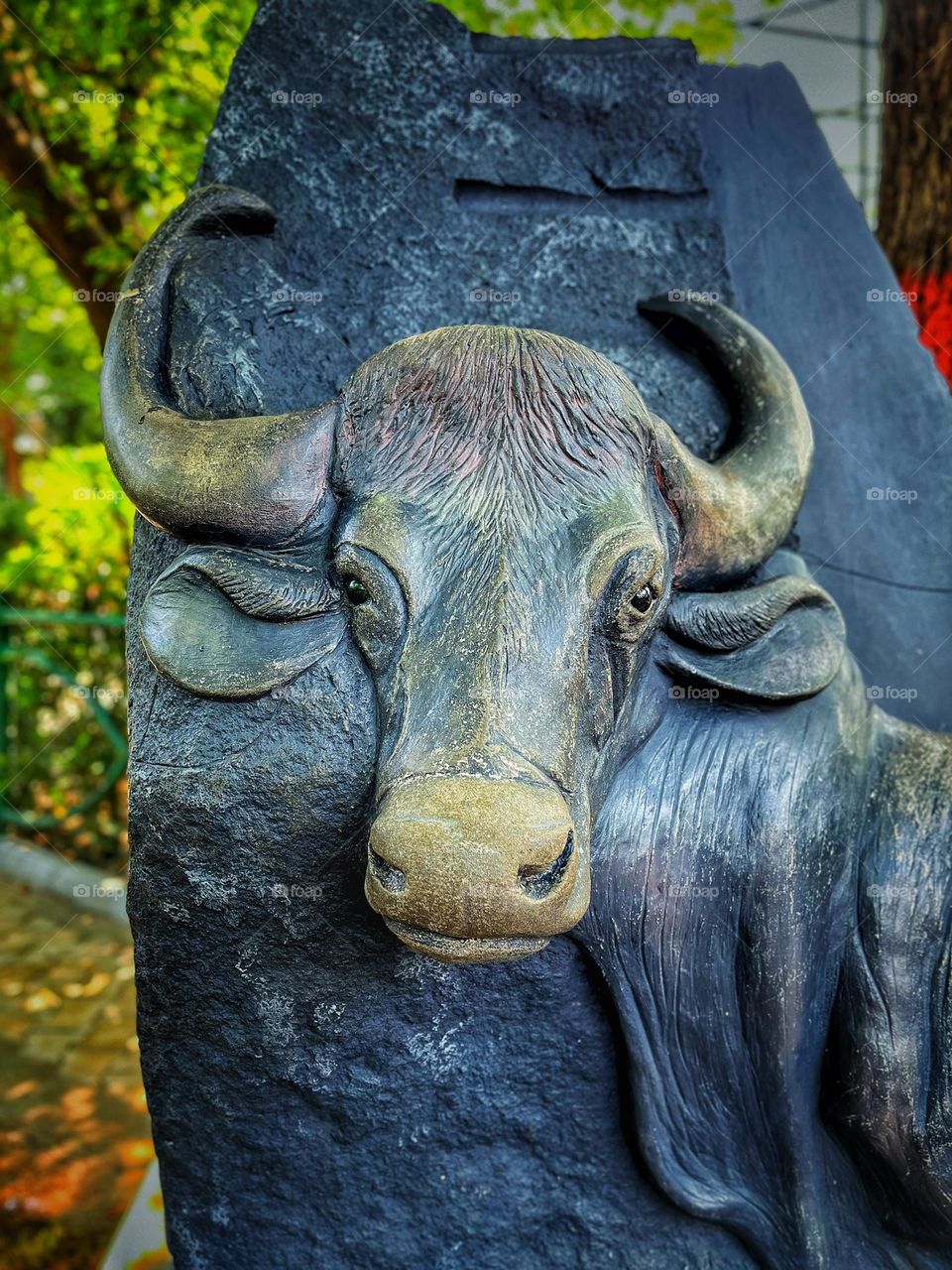 Buffalo statute 