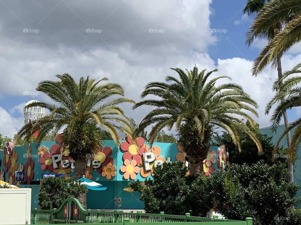 Will Orlando, Fl Themeparks close permanently? find VIDEOS @selsacamacho TICTOK @Selsa_Susanna IG or https://www.facebook.com/selsa.susanna YouTube Selsa_Susanna mail: 1700 Celebration Blvd, unit 1019, Celebration, FL 34747