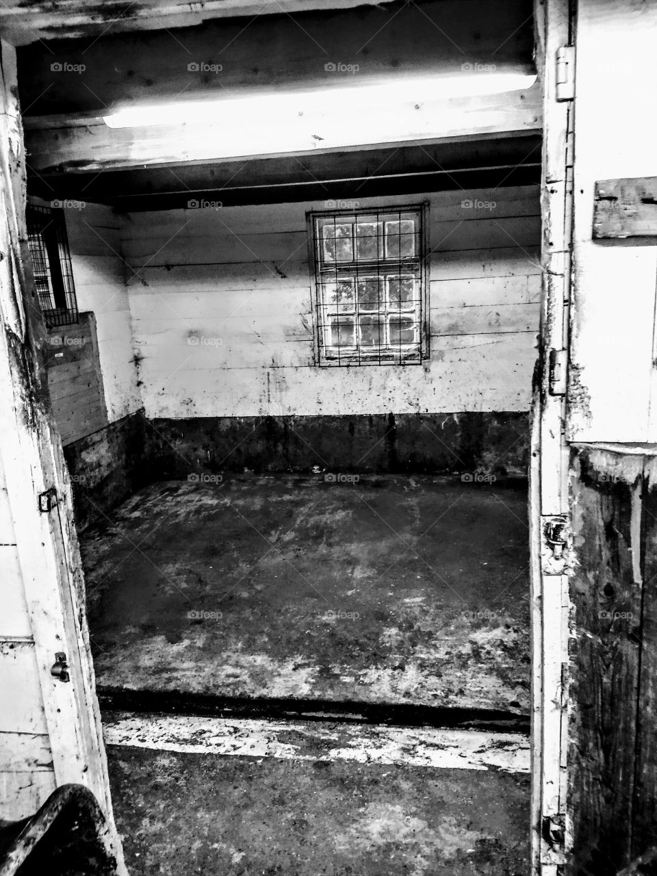 Dirty barn, looks better in black and white. Dirty walls and floor. What a mess!