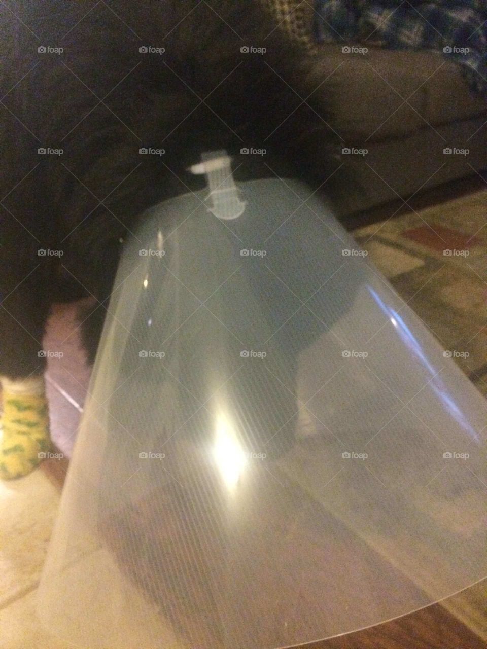 Indoors, Light, Room, No Person, Family