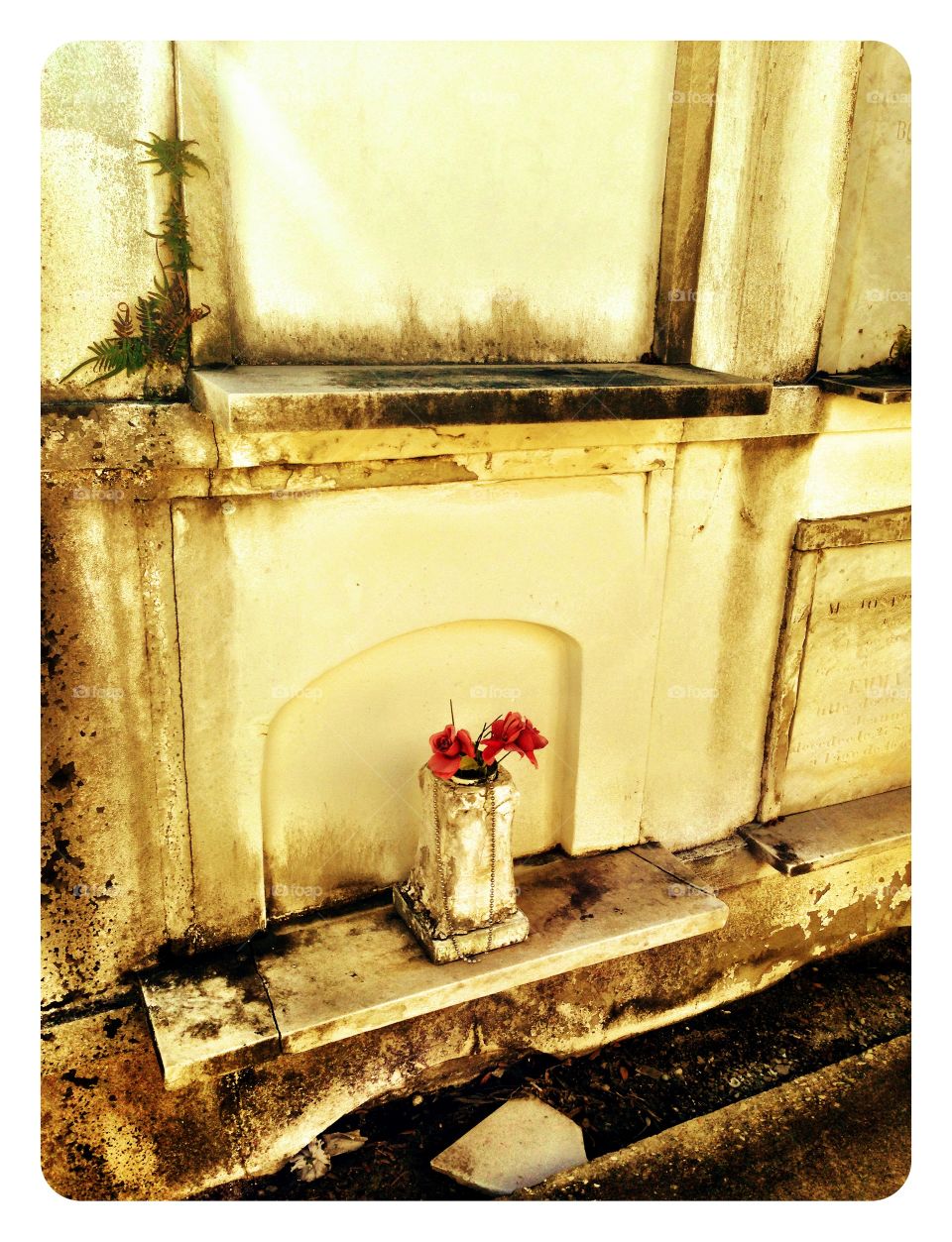 New Orleans Tomb flowers
