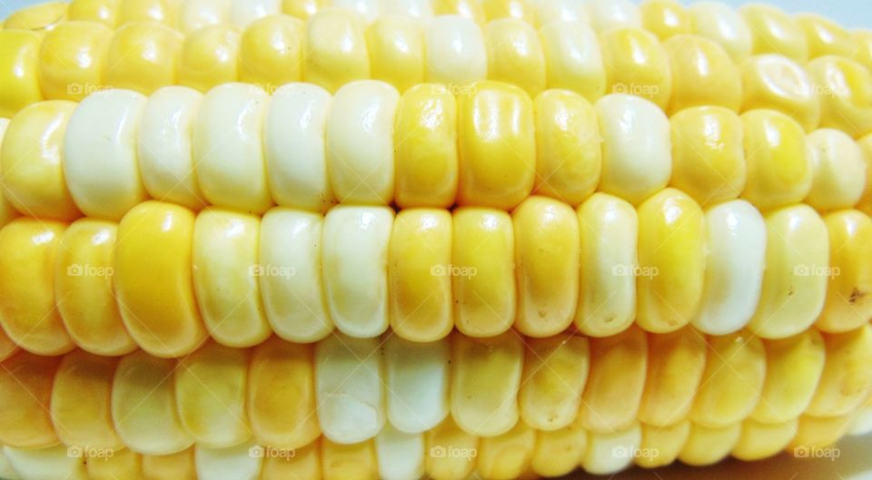 Corn