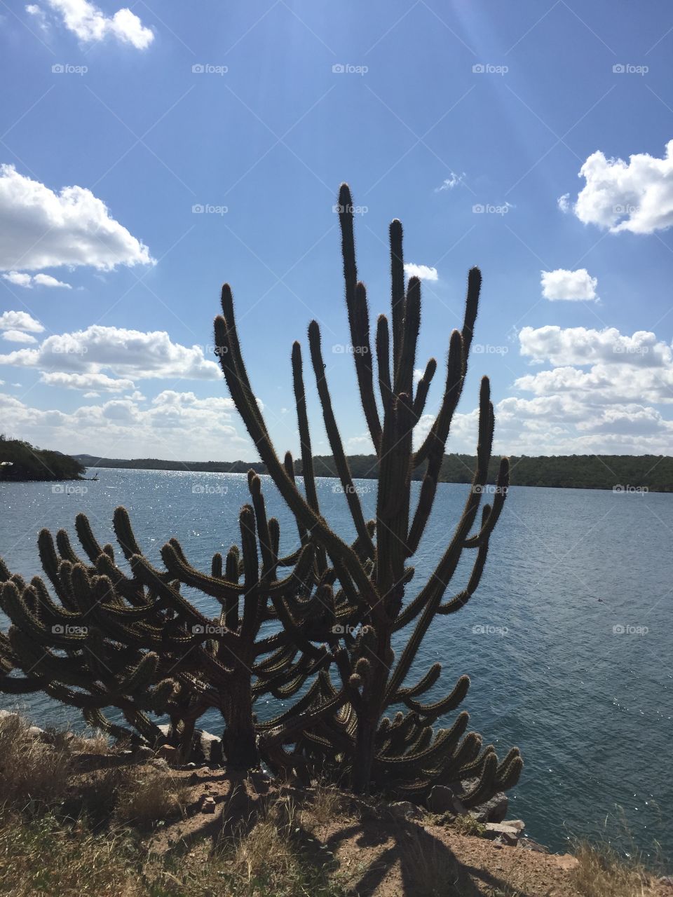 Canyons of São Francisco River in Piranhas, Alagoas, Brazil