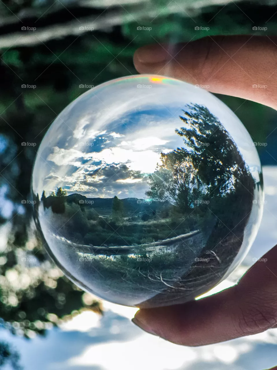 natureball