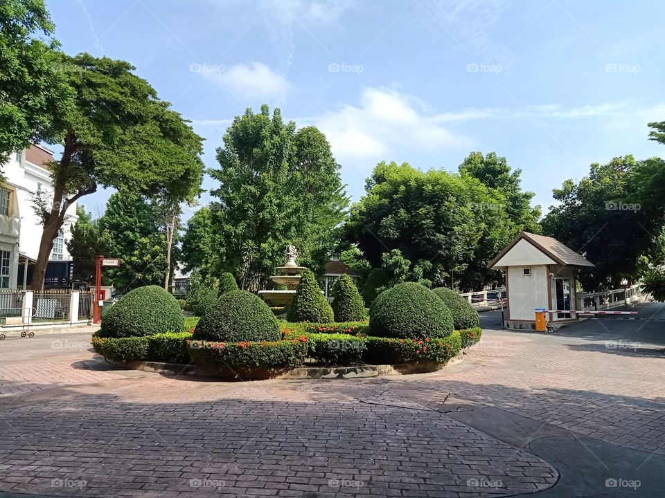 Garden in the village