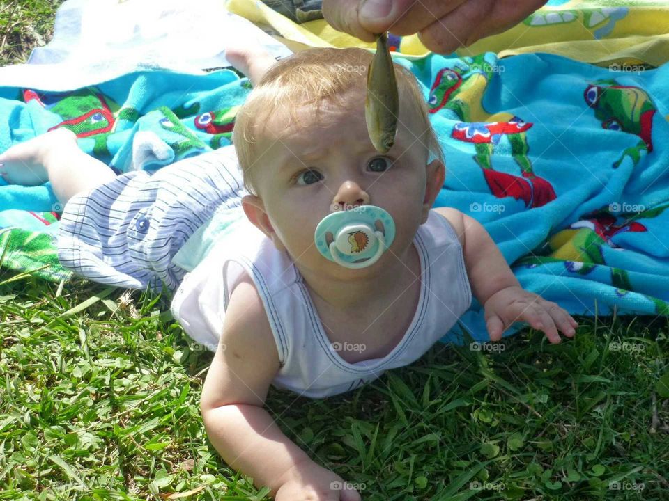 kid looking fish. looking a litle fish intently