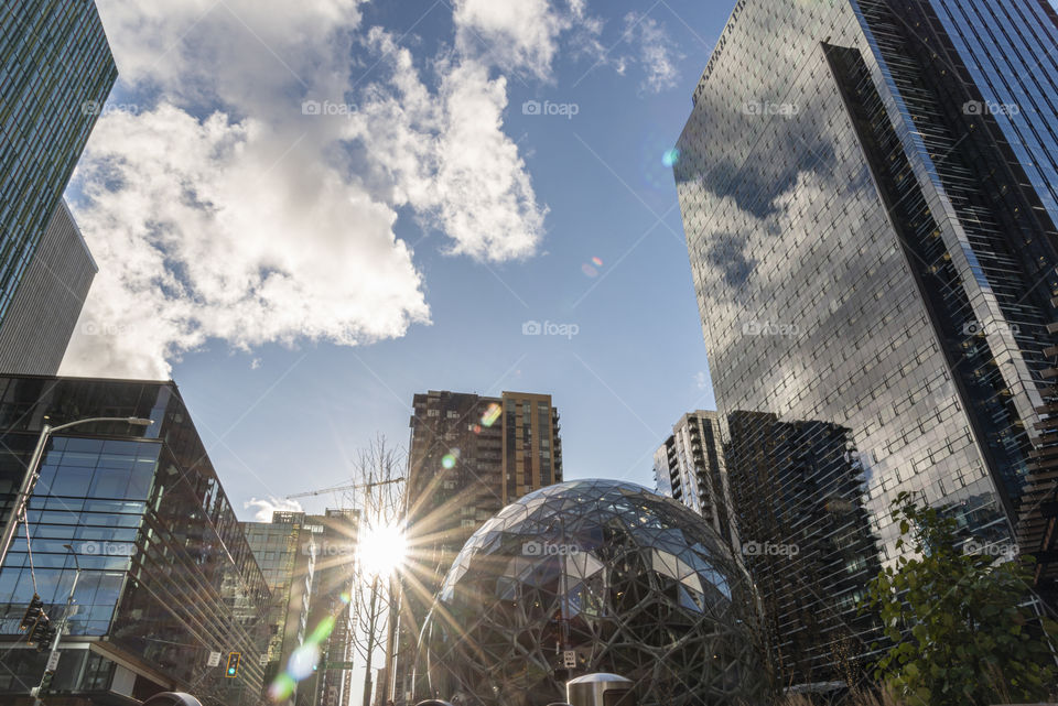 The Seattle world headquarters spheres terrariums in downtown Seattle with a Sunburst and office towers
