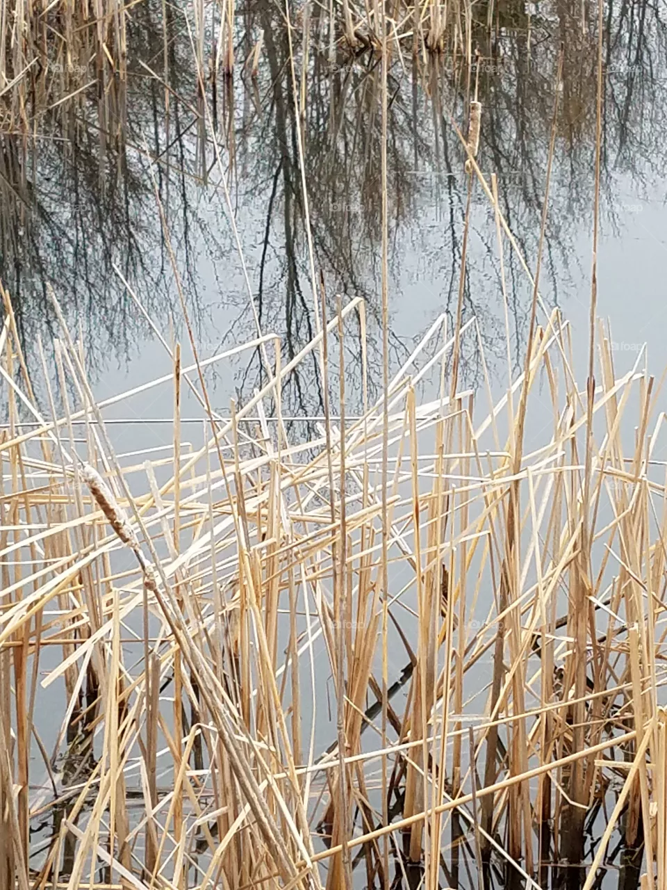Reflections