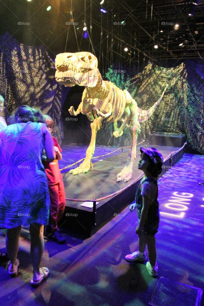 Dinosaur Display
