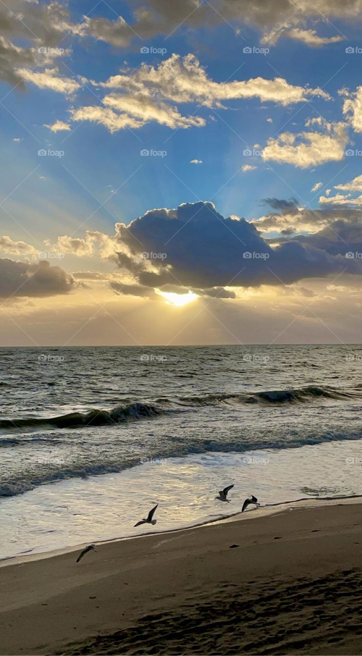 A sunrise over the ocean with birds flying